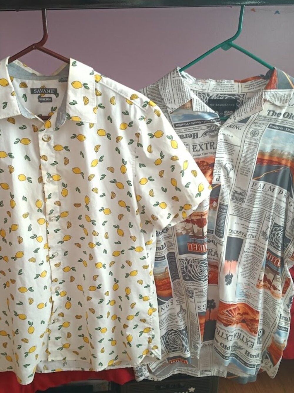 2 Men's Button-Up Shirts Size L (Lot 2)